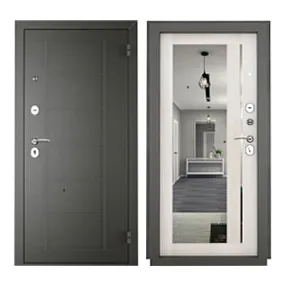 дверь титан pro-2050/960 зеркало графит